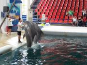 Delfinarium - Výlety - Bulharsko - 04