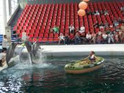 Delfinarium - Výlety - Bulharsko - 09