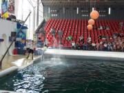 Delfinarium - Výlety - Bulharsko - 17