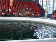 Delfinarium - Výlety - Bulharsko - 22